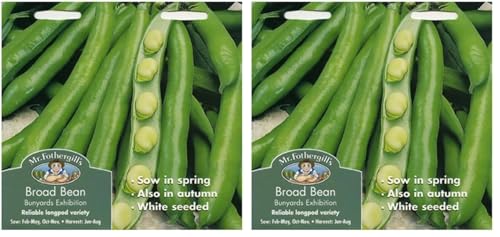 Image of Mr Fothergills Mr Fothergill's 21946 Vegetable Seeds, Broad Bean Bunyards Exhibition,White,100 cm (Pack of 2)