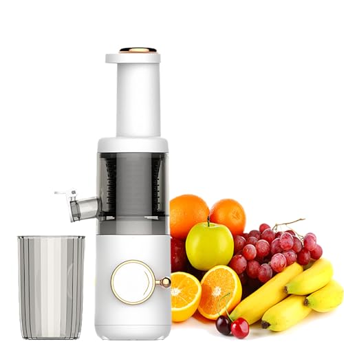 LKYLGYU Exprimidores masticadores, fácil operación/Limpieza, Desmontables + separables, Funcionamiento silencioso, Capacidad: 625 ml/21 oz, se enjuagan rápidamente, para Uso Comercial o de Cocina