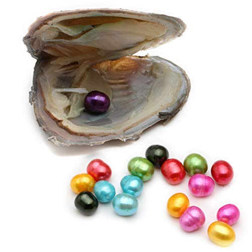 10PC Freshwater Pearl Cultured Love Wish Pearl Oyster with Pearl Inside for Pearl Gift Fun for Children Family Friends Party Oyster with Pearls Inside(7-8mm, 10PC)