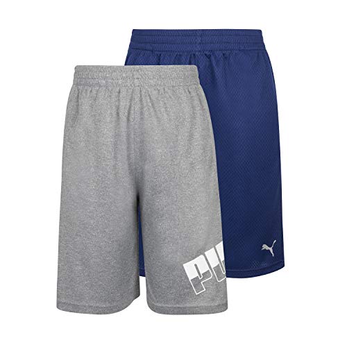 PUMA Boys' 2pk Performance & Mesh Graphic Logo Short Set