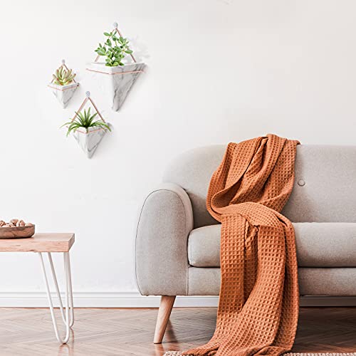 Fairylavie 6'' Hanging Planter, 2 Pack Ceramic Geometric Wall Planters Plant Holder Container With Hooks For Indoor Outdoor Wall Decor, Ideal Gift For Family Friends #TOP2