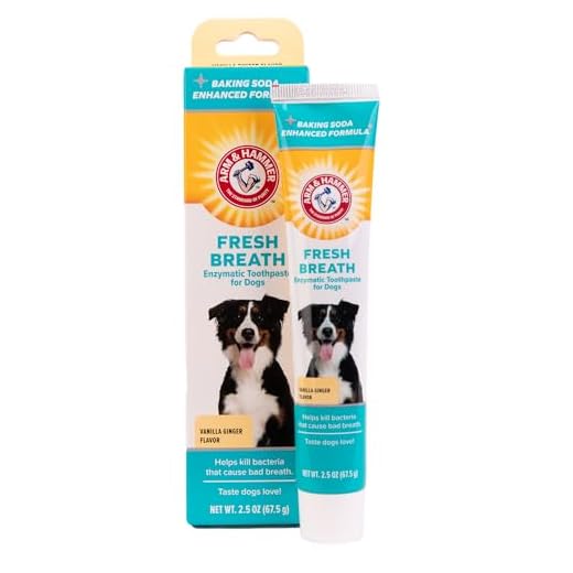Arm & Hammer for Pets Clinical Care Dental Enzymatic Toothpaste for Dogs | Soothes Inflamed Gums | Safe for Puppies 1 Pack Fresh Breath Vanilla Ginger