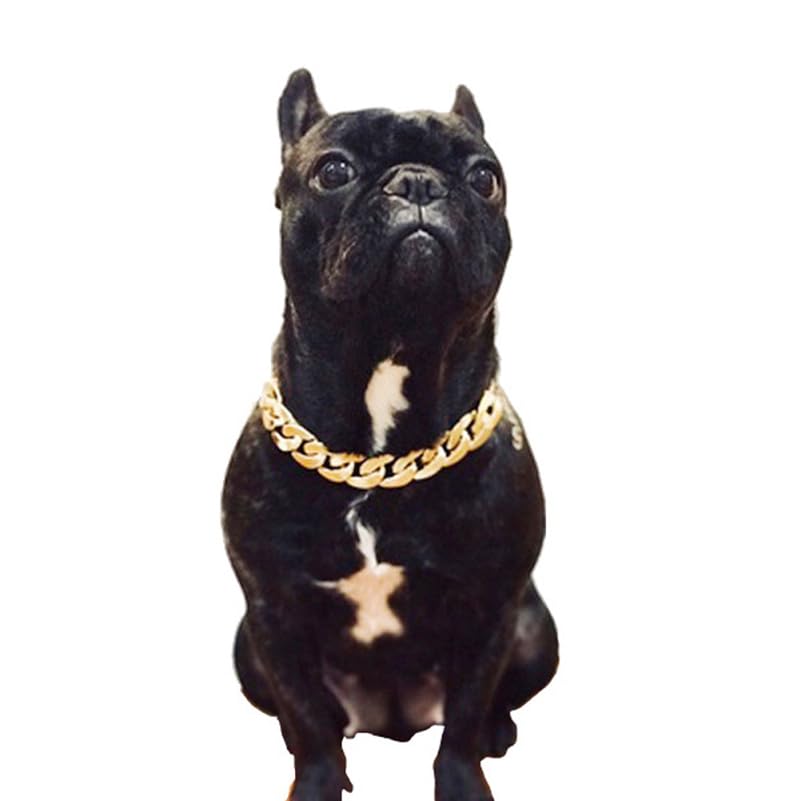FRCOLOR Pet Necklace Cool Pendant Chain for Small Dogs and Cats Fashion Jewelry Photo Prop Weekend Party Accessory