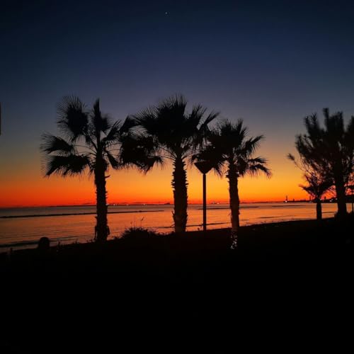 El laberinto - Henry Saiz B2B Sasha (Parte 2) - 08/11/25