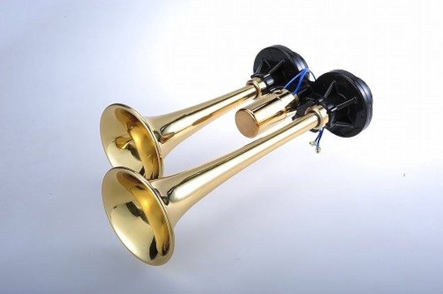 黒いホーン型工芸品 黒いホーン型工芸品