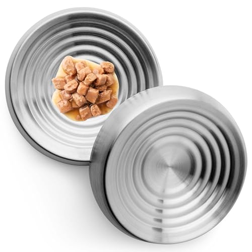 CatGuru Cat Bowls, Whisker Friendly Cat Food Bowl for Indoor Cats, Reliefs Whisker Fatigue, Wide Pet Bowl, Non Slip Pet Feeding Bowls, Shallow Kitten Dish (Set of 2, Stainless Steel)