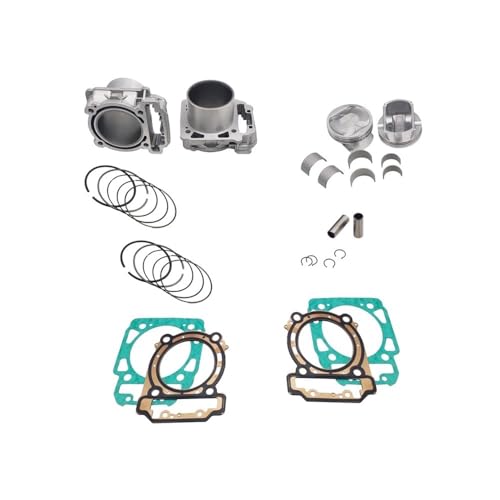 Kit de 2 cylindres de haute précision avec bagues pour BRP800 référence 420413430