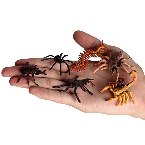 Rcomg 12 Pcs Small Realistic Insects Figures Toys, Plastic Wildlife Animal Fake Bug Toys Halloween Party Favor School Project Bug Figurines Set For Kids Toddlers #TOP5