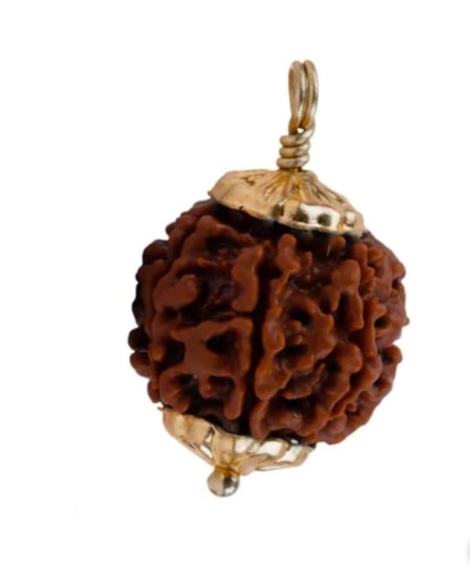 SRT Rudra 7 Mukhi Rudraksha with Silver Capping