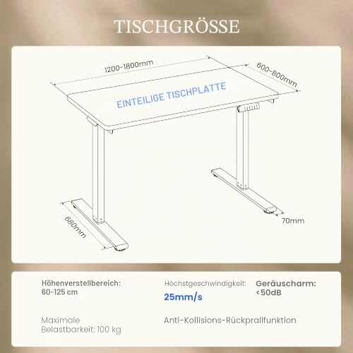 FLEXISPOT Höhenverstellbarer Schreibtisch mit Dualmotor 160×80 cm – Ansicht 2