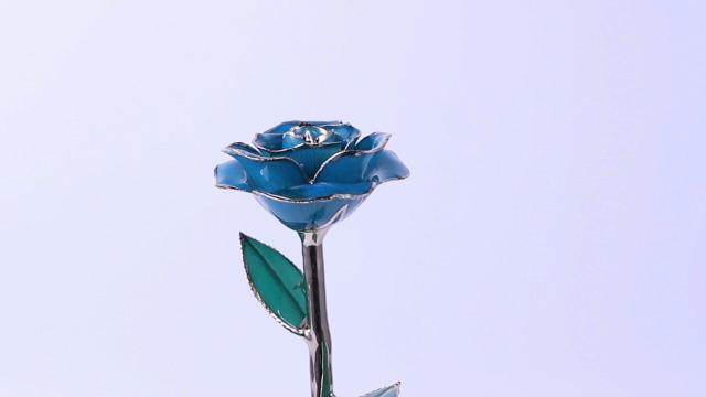 Amazon.com: 24K Blue Rose for Her, Dipped Gold Rose Love Real