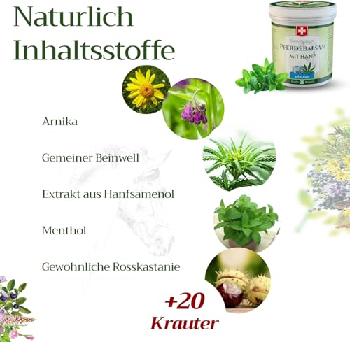 SwissMedicus Pferdebalsam mit Hanf, kühlend für Beine & Muskeln, 75 ml – Ansicht 5