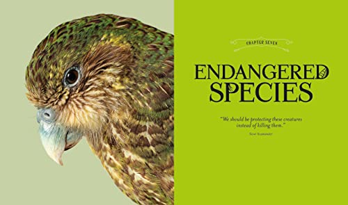 Fantastic Beasts: The Wonder of Nature: Amazing Animals and the Magical Creatures of Harry Potter an