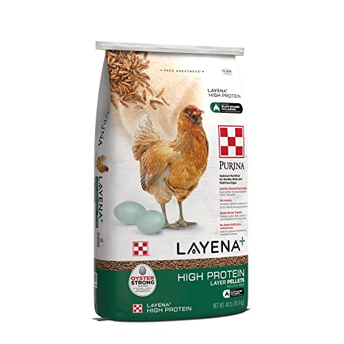 Purina Layena + High Protein Layer Chicken Feed (40 Pound)