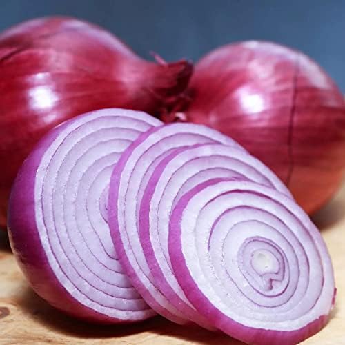 1600+ Red Burgundy Onion Seeds for Planting Short Day Heirloom Non GMO Garden Vegetable Bulk Survival Hominy A44