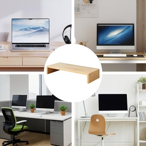 Stand de moniteur d'ordinateur et support d'écran robuste 19.69"