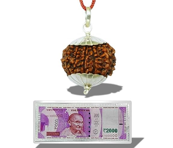 13 Mukhi Rudraksha Original Certified (23mm-27mm) 13 Thirteen Face Rudraksha Silver Pendent With Lucky Silver Note (Combo Offer) For Men Women
