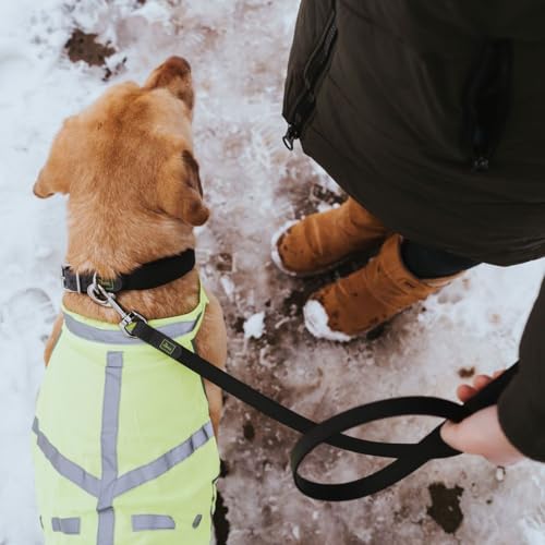 HUNTER Warnweste für Hunde, vielseitig einstzbar, höhere Sichtbarkeit, stufenlos verstellbar, wasser- und schmutzabweisend, waschbar, Größe: L