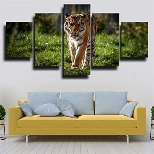 Tableau tigre sauvage en 5 pièces : impression HD sur toile 100x50 cm avec cadre