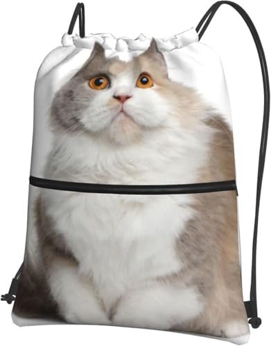 [ESASAV] ibvUbN 킢 L X|[cWobO В [obO ܂ݎ[ @\ e h y j  ^ s AEghA jp