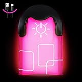 flintronic