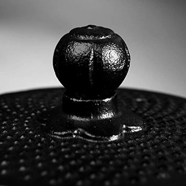 Huisdier Metalen As Asdoos Volwassen As Crematie Begrafenis As Asdoos Gedenkteken Mini Crematie Souvenirs Volwassen huisdier Begrafenis