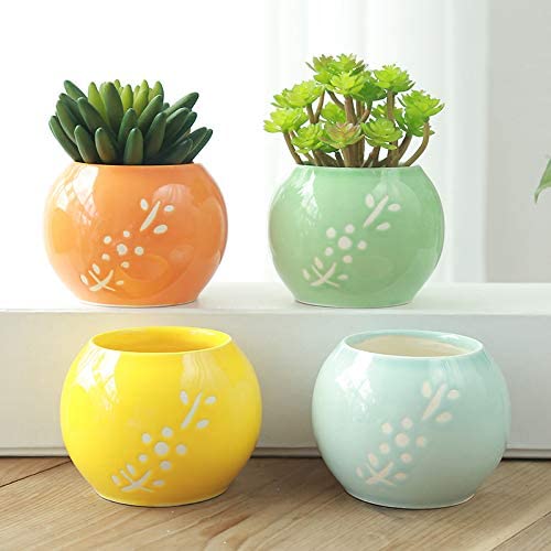 Pots de plantes succulentes citrouille pour déco de table moderne