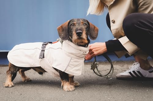 HUNTER Hundemantel NORDBY Dachshund, Farbe: Creme, wasserabweisend, warm gefüttert, reflektierend, ideal für kleine Hunde mit langem Körper, schützt vor Kälte & Nässe, maschinenwaschbar, Größe: 40