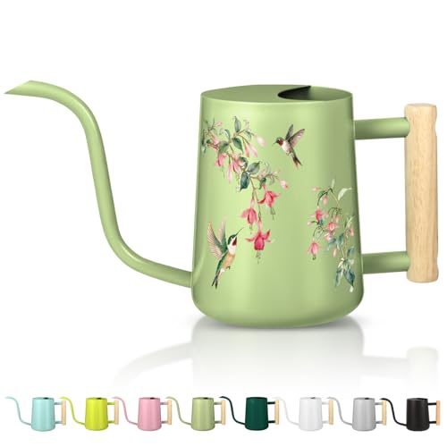 Image of Watering Can Indoor Plants, 35oz Small Stainless Steel Metal Watering Can Modern Decorative Watering Pot with Long Spout for Indoor House Plant Bonsai Garden Flowers (Saga Green 2)