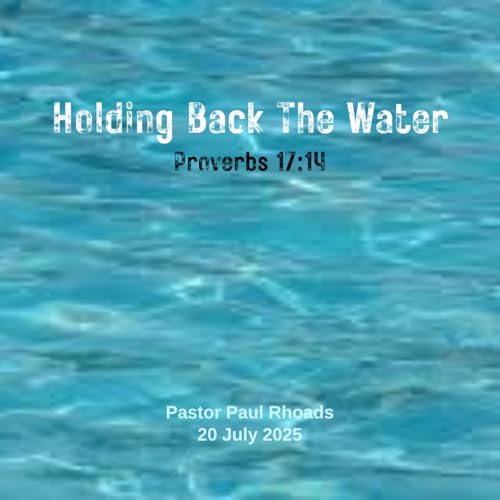 Page de couverture de Episode 743: Holding Back The Water