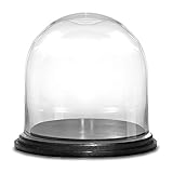 CYS EXCEL Glass Dome Cloche With Black Wood Base (H:13