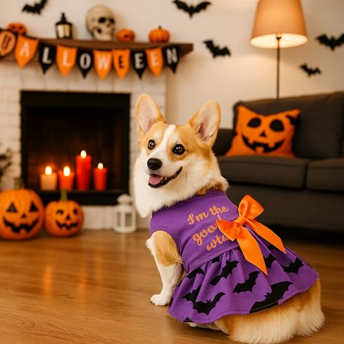 Abbylike 3 Pcs Seasonal Dog Outfits Christmas Halloween Thanksgiving Pet Costume Cotton Holiday Puppy Dress Lightweight Pet Apparel with Bowknot for Large Medium Cat Clothing, Small - Image 6