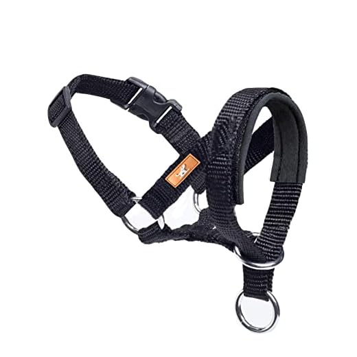 Adjustable Fabric Padded Dog Head Collar