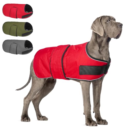 BEAUTYZOO Dog Winter Coat for X-Large Dogs Waterproof, Warm Reflective Great Dane Oxford Canvas...