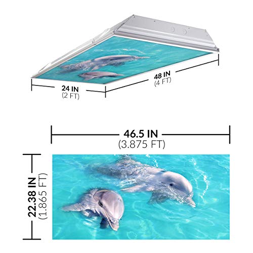 Image of Fluorescent Light Cover for Classroom Ceiling Lights - Premium Backlit Film Insert 2x4 (22.38 inchx46.5 inch) Florescent Fixture (Pack of 1) School, Office, Sensory, Improve Focus, Eliminate Headache, Dolphin