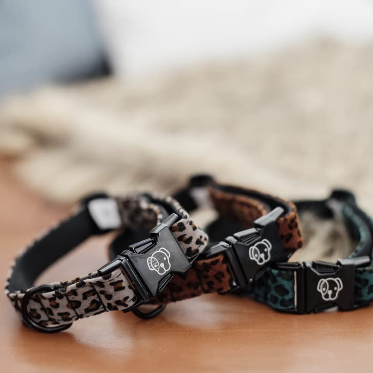 Collier chien pour les petits chiens facile a laver taille S