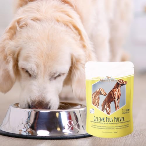 Mighty Pets - GELENK Plus Pulver (bis 125 Portionen) für Hunde mit Grünlippmuschel, MSM, Teufelskralle, Curcuma, Chondroitin, Glucosamin, Bierhefe aus Deutschland