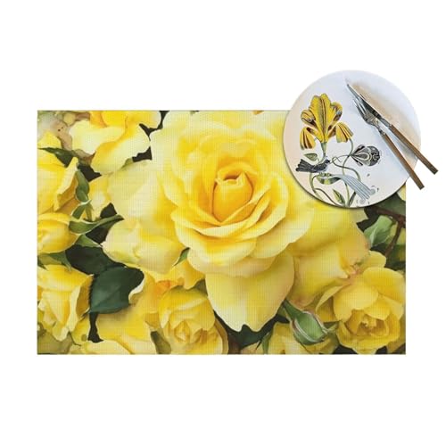 Sets de table tissés en PVC résistant chaleur lavable pour protection table repas