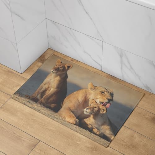 Tapis salle de bain extra fin sous porte et absorbant CEVAN - 3