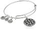 Alex and Ani Compass II Expandable Rafaelian Bangle Bracelet