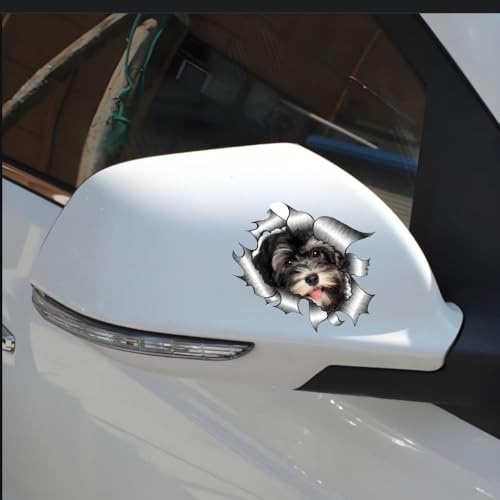 Havaneser Hund Aufkleber, 3D Zerrissener Metall-Effekt, Reflektierend, Wasserfest, Lustiger Havanese Aufkleber für Laptop, Auto, Kühlschrank (15cm/5.9 Inch)