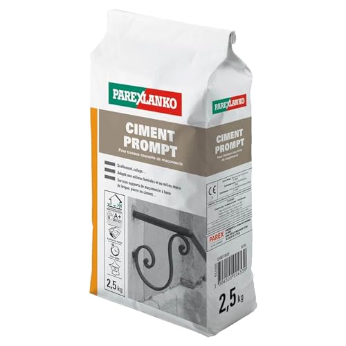 Parexlanko - Ciment Prompt - Gris - Confection de mortier à prise rapide - Tous supports de maçonnerie - Adapté en milieux humide et marin - 2,5kg