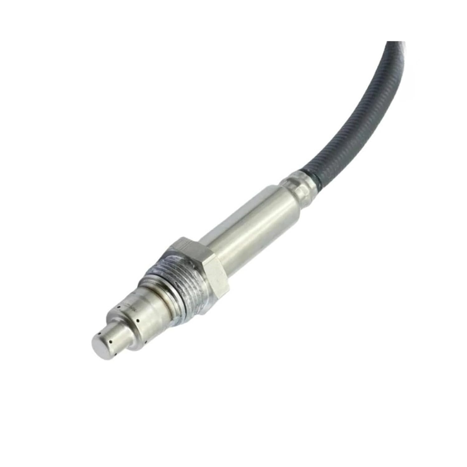 new titles – Fine Arts Library Collections morikazu maeda 作品