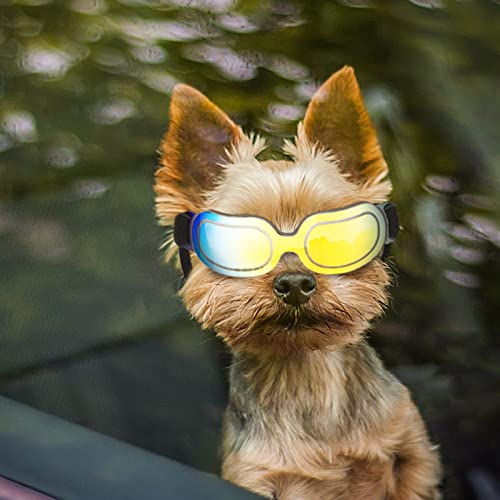 Enjoying Dog Goggles Small Dog Sunglasses Uv Protection Big Cat Glasses Fog/Windproof Outdoor Doggy Eye Protective With Adjustable Band For Small Dogs, Yellow #TOP8