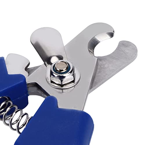 Diydeg DIYDEGDF8NUI14EP5587 Tail Cutting Pliers, 6.3In Stainless Steel Durable Pig Sharp Cut Tail Clamp Cutter Rust Resistant Wear Resistant Easy To Use Fine Workmanship Livestock Equipment thumb #8