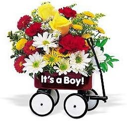 Teleflora's Baby's First Wagon