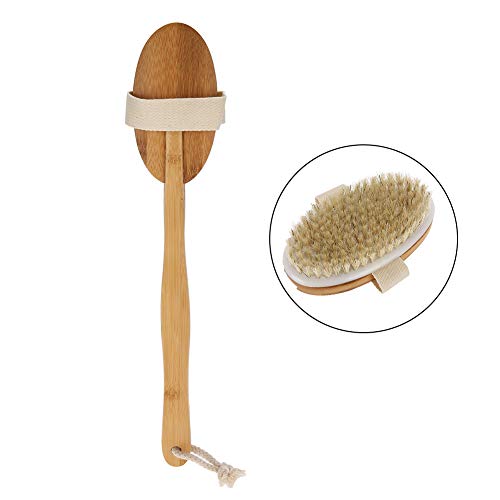 Generic Brosse de Massage de Douche à Longue Poignée avec Poils Doux pour Exfoliation des Soins de la Peau, Lavage Corporel 2 en 1 et Masseur