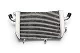 avdb moto Radiateur d'Eau Inférieur Type Racing compatible avec HONDA NRX 1800 / NRX1800 RUNE VALKYRIE 2004 2005