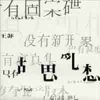 【新品未使用】フェイウォン 夢遊 レコード Faye Wong 夢遊/FAYE WONG/フェイ・ウォン (王菲)｜LATIN/BRAZIL/WORLD