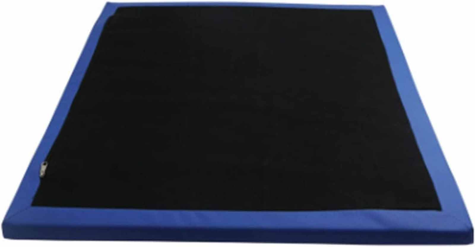 Shoe Solesdisinfecting Floor Mats, Sponge Entrance Mat, Shoe Sanitizer Mat Entry Rug Front Door Mat Disinfect Front Door Mat Outdoor Doormat for Hospital Laboratory Indoor Outdoor Floor(40x60cm)